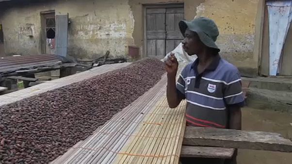 Ivory Coast and Ghana suspend sales of cocoa Ivory Coast and Ghana suspend sales of cocoa