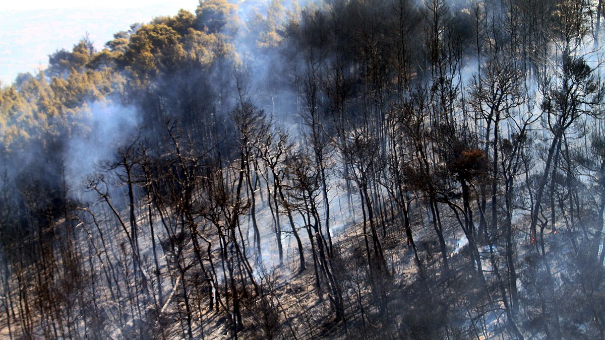 Πολύ υψηλός κίνδυνος για φωτιά σε Ελλάδα και Κύπρο