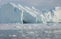 Grönland'da rekor buzul erimesi tespit edildi