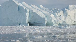 Grönland'da rekor buzul erimesi tespit edildi