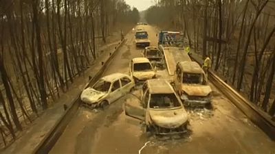 Португалия вспоминает разрушительный пожар в Педроган-Гранди