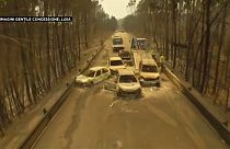 Portogallo, Strada Statale 236