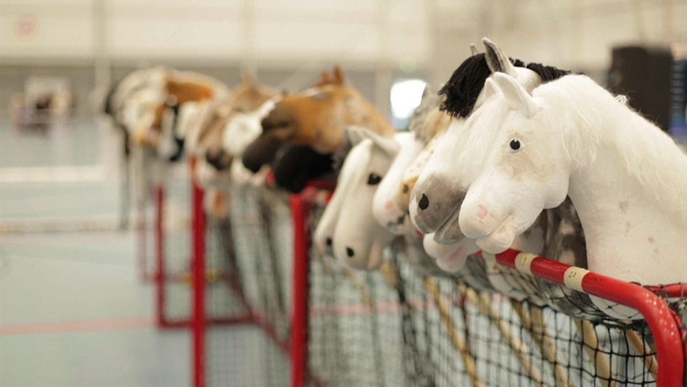 Watch: High stakes at Finland's Hobby Horse Championships | Euronews
