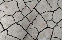 هيئة المسح الجيولوجي ترصد زلزالاً بقوة 6.5 درجة قبالة سواحل اليابان