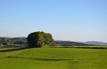 Horror in Kierspe: Das weggeworfene Baby - Mutter (31) in Haft