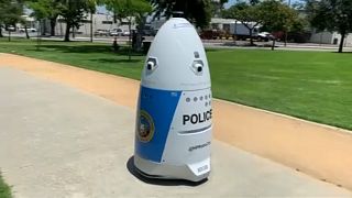Robotzsaru Kaliforniában