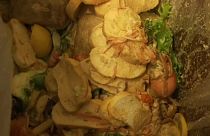 Neue Technologie: Mit Apps gegen die Lebensmittelverschwendung