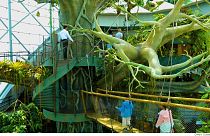 ما هي أماكن التسلية في دبي خلال فصل الصيف؟