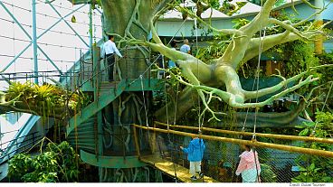 Дубай: утомленные солнцем