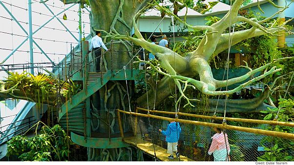 Dubai's coolest indoor attractions offer a break from the summer heat
