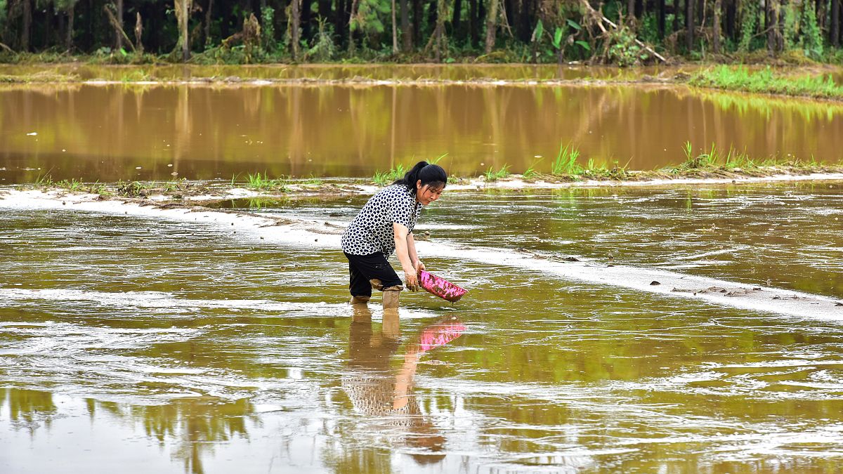 شاهد: أمطار الصين الموسمية مستمرة ورفع التحذير للون الأحمر في تونغلو