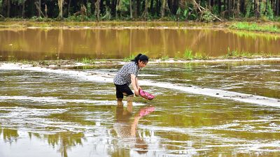 شاهد: أمطار الصين الموسمية مستمرة ورفع التحذير للون الأحمر في تونغلو