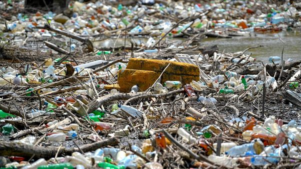 3 nap alatt 3 tonna szemetet szedtek ki önkéntesek a Tisza-tóból 3 nap alatt 3 tonna szemetet szedtek ki önkéntesek a Tisza-tóból