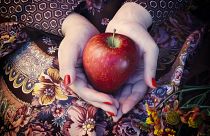 تفاوت‌های رژیم وجترین و وگان؛ همه آنچه که باید در مورد آنها بدانیم