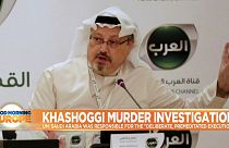 Khashoggi killing 'was not a rogue operation', says UN investigator