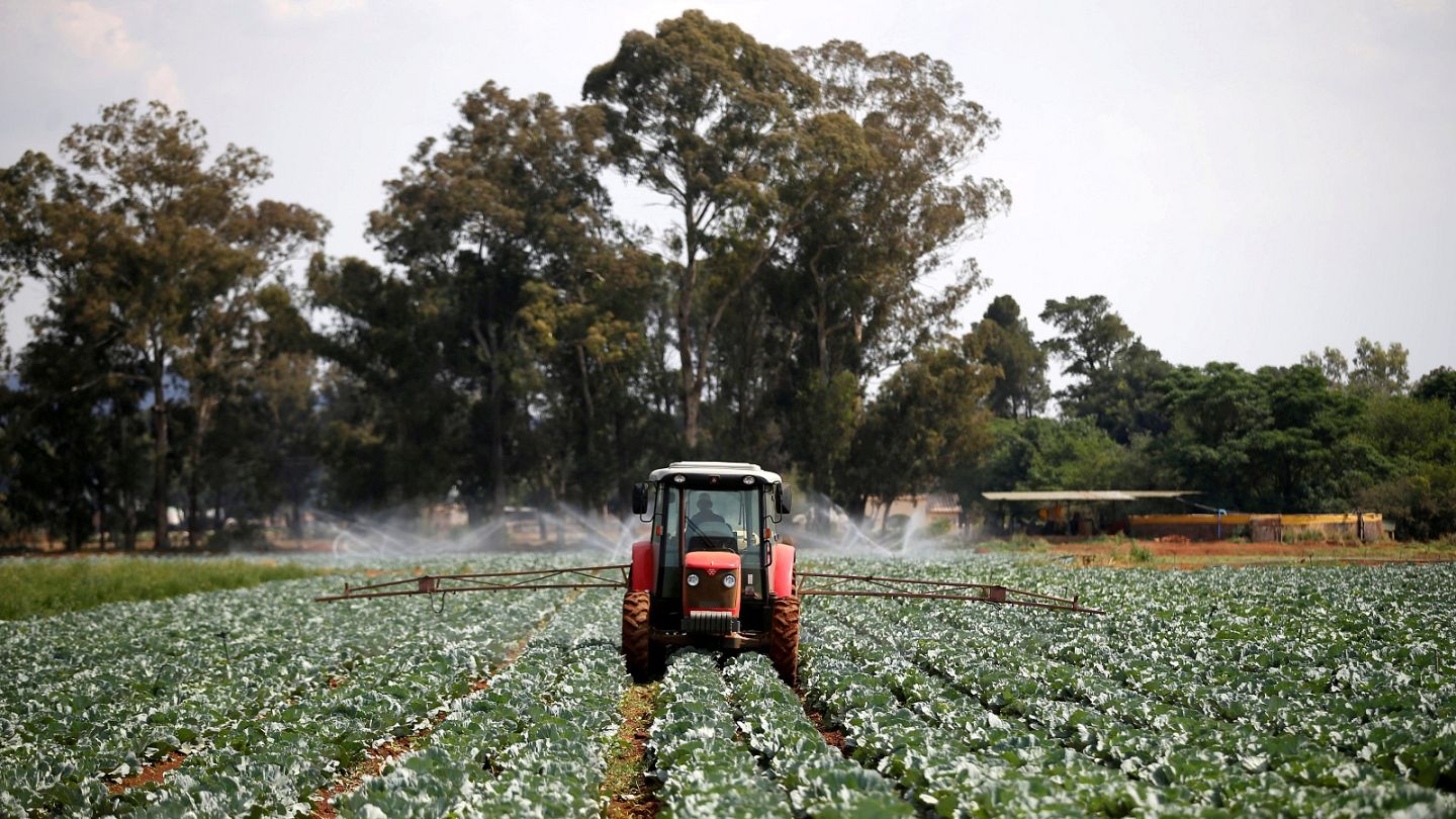 Image result for There are lessons to be learned to ensure technology is a force for good for Africaâs farmers Ç View