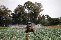 There are lessons to be learned to ensure technology is a force for good for Africa’s farmers ǀ View