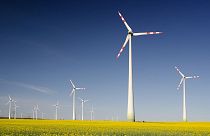 Windfarm