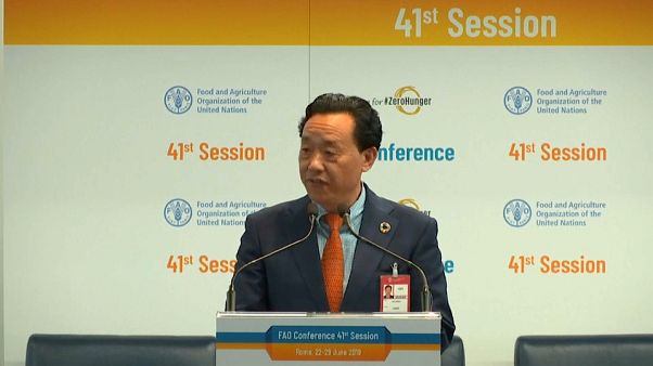 Qu Dongyu eleito diretor-geral da FAO Qu Dongyu eleito diretor-geral da FAO