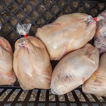 61 million chickens rejected due to disease - is it time to go vegan?