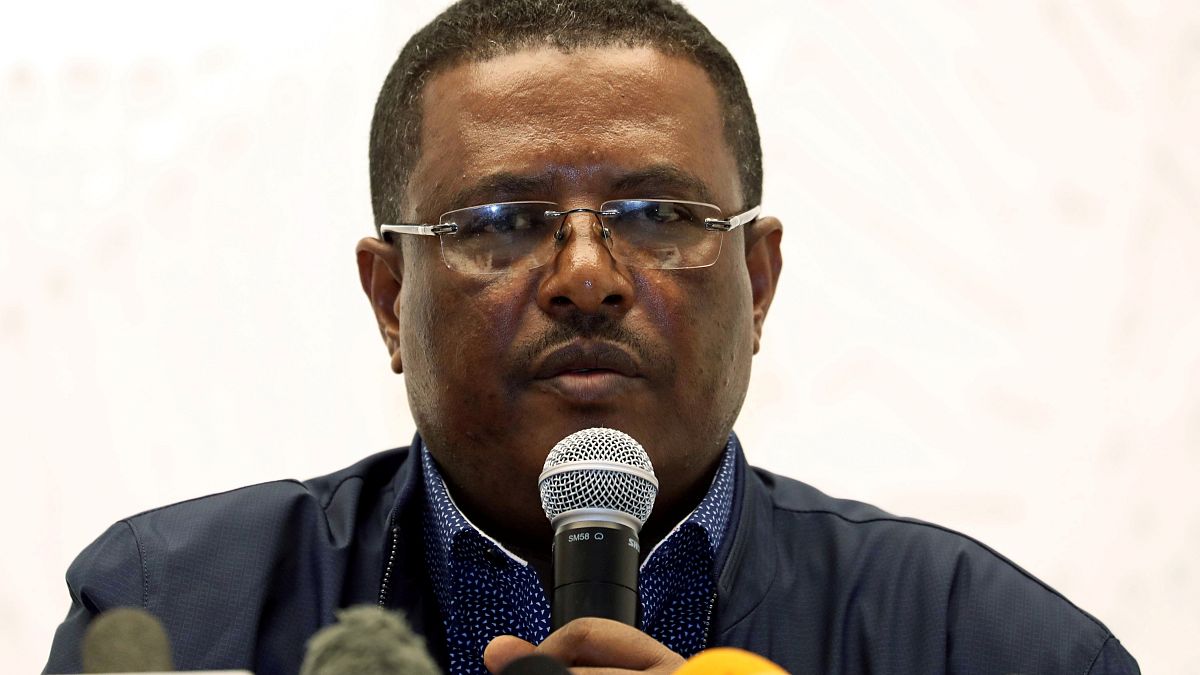 المتحدث باسم رئاسة الوزراء الإثيوبية نيغوسو تيلاهون 