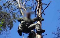 Eurofighter pilot killed in Germany collision, other found alive in tree