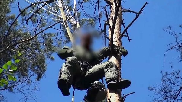 Eurofighter pilot killed in Germany collision, other found alive in tree Eurofighter pilot killed in Germany collision, other found alive in tree