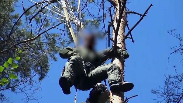 Piloto rescatado tras el accidente Piloto rescatado tras el accidente