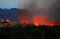 Μεγάλη πυρκαγιά στους Δελφούς - Σε ύφεση το μέτωπο της Αρτέμιδας