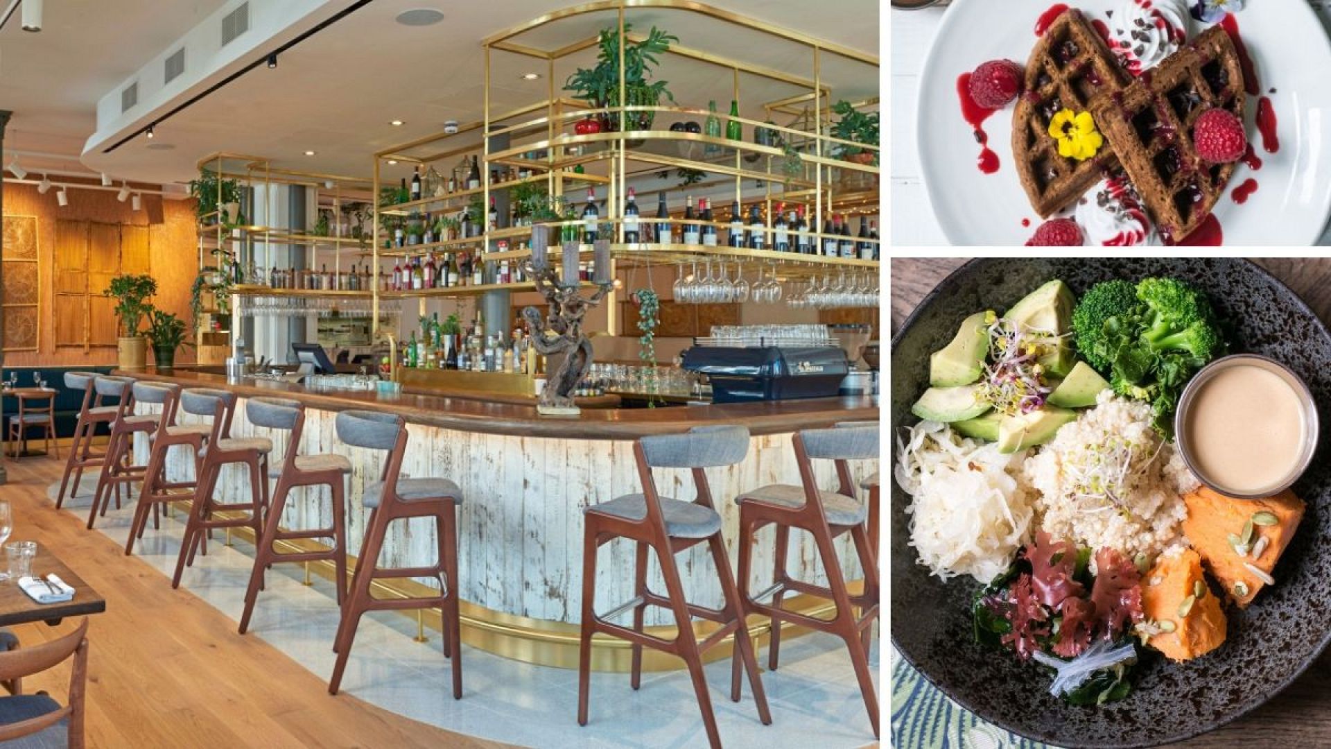 Top 7 organic restaurants in London Euronews