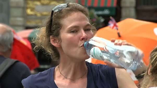 Belgio: Il caldo record mette a rischio le patate fritte Belgio: Il caldo record mette a rischio le patate fritte