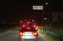 Golpe a la mafia calabresa en Italia