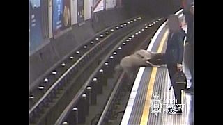 90 éves embert lökött a sínekre a londoni metróban, életfogytiglant kapott