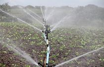 Agricultura deve usar águas residuais urbanas 