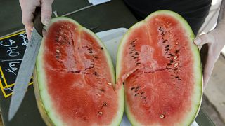 10-15 százalékkal kevesebb görögdinnye teremhet idén