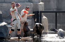 Arrefecer o ambiente no Zoo de Paris