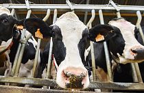 The Brief from Brussels : difficiles négociations UE-Mercosur