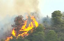 شاهد: حرائق هائلة في إسبانيا تغذيها الموجة الحارة