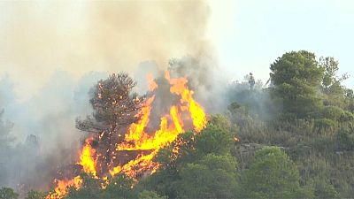 Лесной пожар в Таррагоне