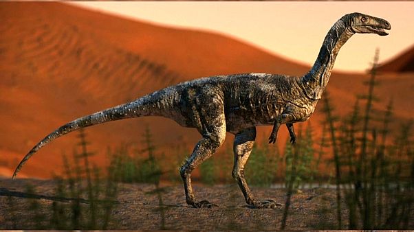 Família dos dinossauros continua a crescer Família dos dinossauros continua a crescer