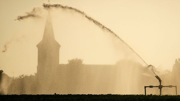 Record di caldo in Francia: 45 gradi centigradi Record di caldo in Francia: 45 gradi centigradi