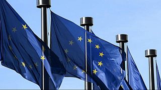 هفت کشور اروپایی بر راه‌اندازی سریع اینستکس تاکید کردند