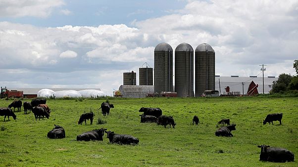 Ε.Ε.- Mercosur: Ιστορική εμπορική συμφωνία Ε.Ε.- Mercosur: Ιστορική εμπορική συμφωνία