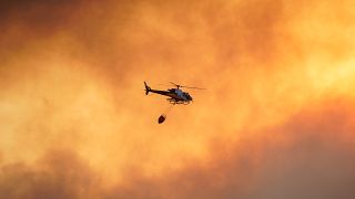 Los incendios arrasan más de 10.000 hectáreas de monte en España