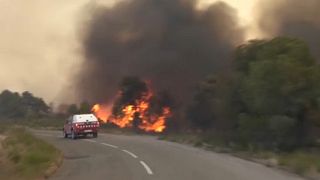 Лесные пожары в Испании и Франции
