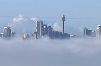 La baie de Sydney noyée sous un épais brouillard