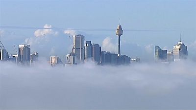 "¿Dónde está Sydney? Se la tragó la niebla"