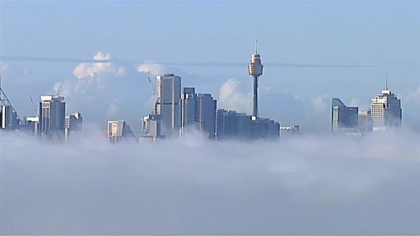 Ismét ködbe borult Sydney híres kikötője Ismét ködbe borult Sydney híres kikötője