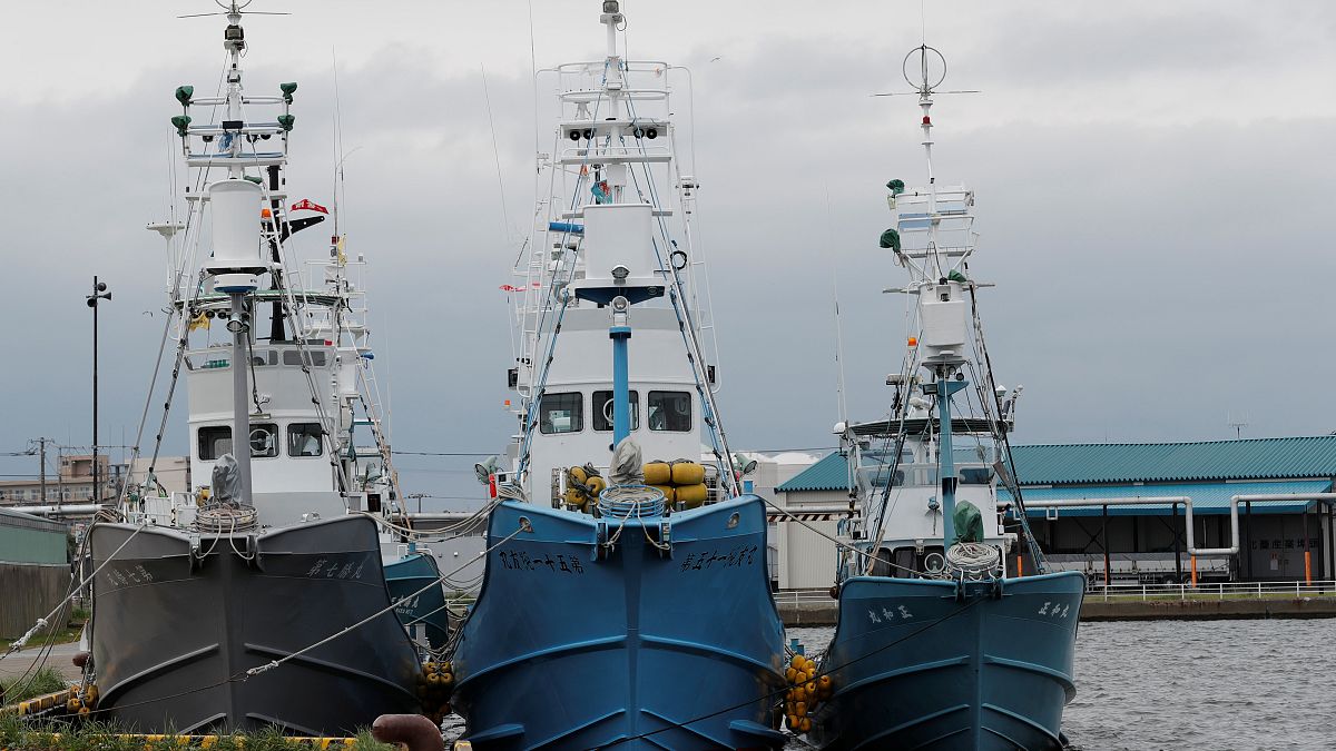 Japón reanuda la caza de ballenas con fines comerciales