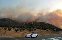 Zerstörung durch Waldbrände in Spanien